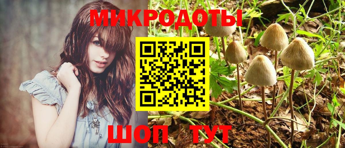 Псилоцибиновые грибы Psilocybine cubensis  Псилоцибиновые грибы мицелий  Ставрополь  Вход с VPN 